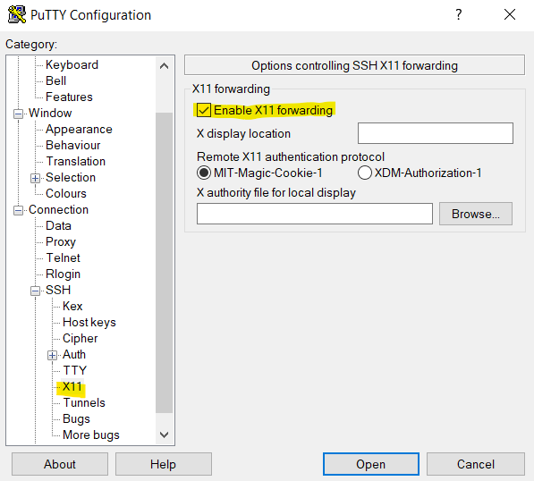 Enable X11 Forwarding