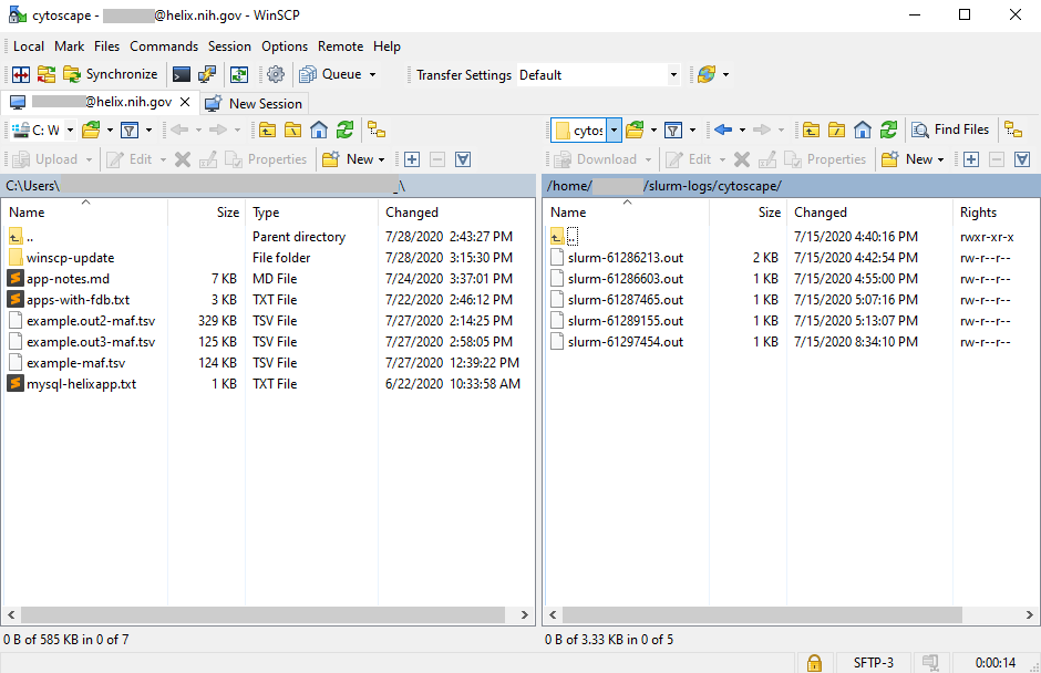 WinSCP Display Panel