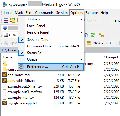 WinSCP Preference Icon