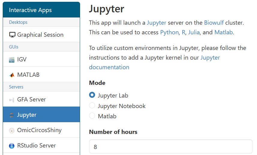 Screenshot of the Jupyter application submission form