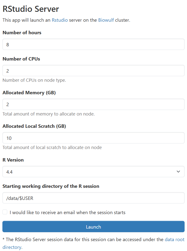 Screenshot of the RStudio Server application submission form